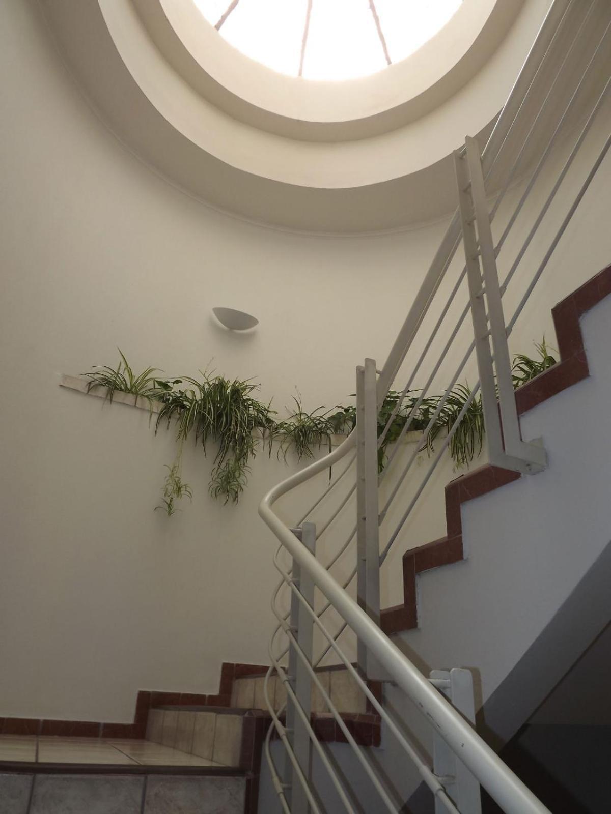Hotel Mediterraneo Sa De Cv Tulancingo Exteriör bild